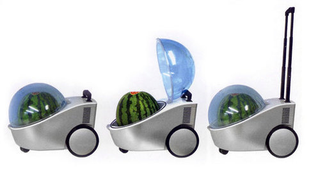 Illustration for article titled Summermodo: Meeting Your Melon-Related Needs Since 2010